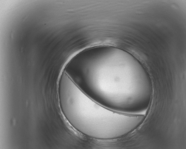 X0000062631200200512231005