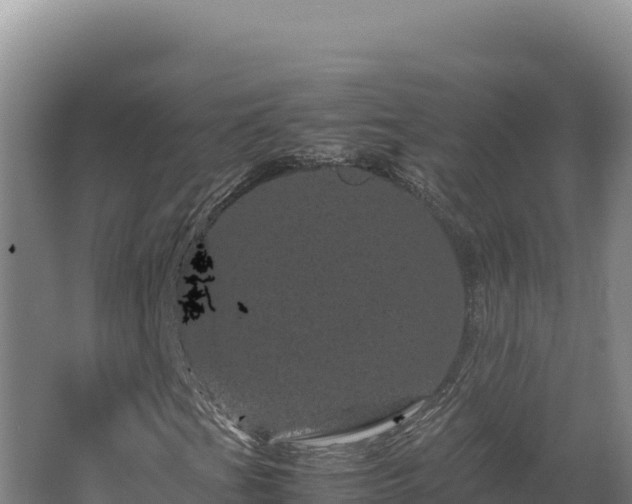 X0000062631201200512231004