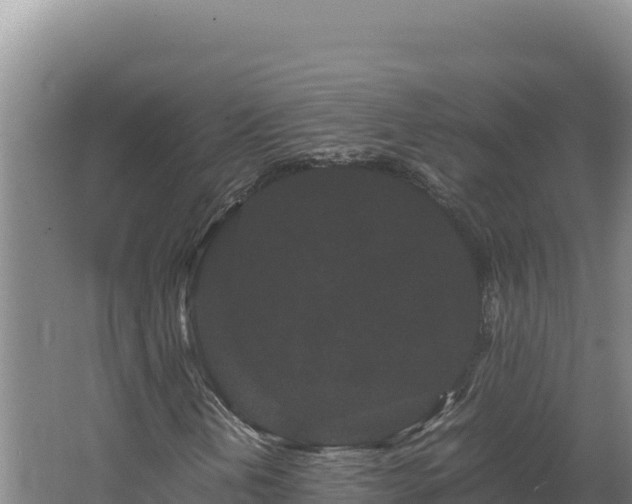 X0000062631202200512231004