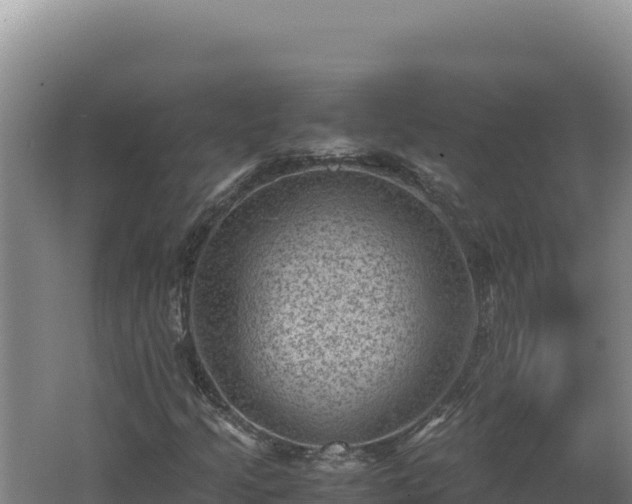 X0000062631205200512231004