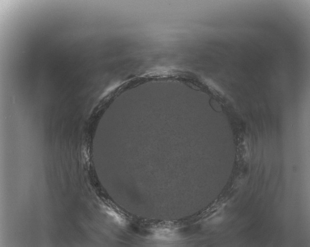 X0000062631206200512231004