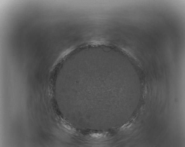 X0000062631207200512231004