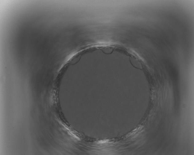 X0000062631208200512231004