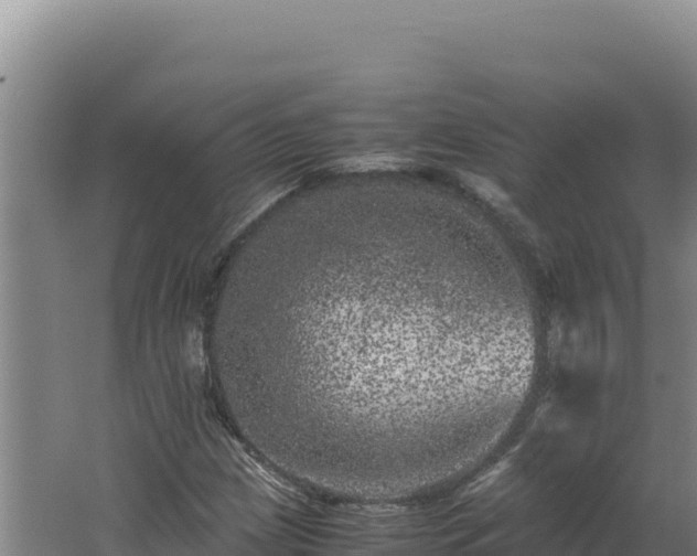 X0000062631209200512231004