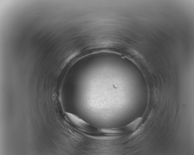 X0000062631210200512231004