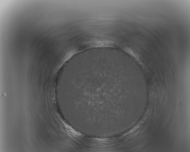 X0000062631211200512231004