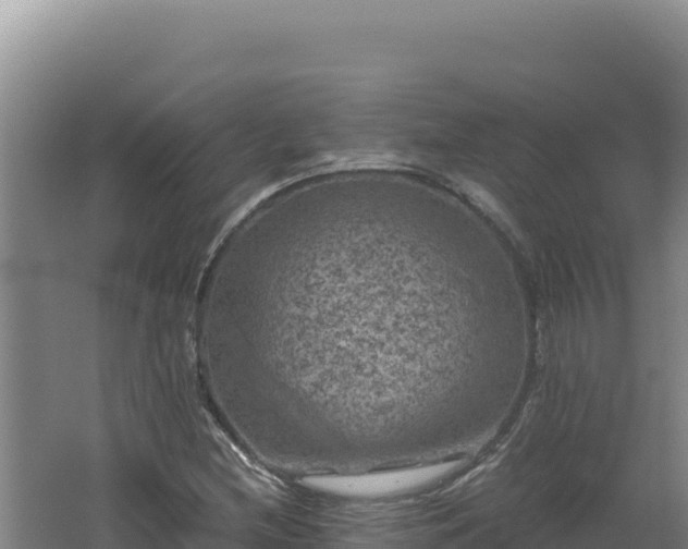 X0000062631212200512231004