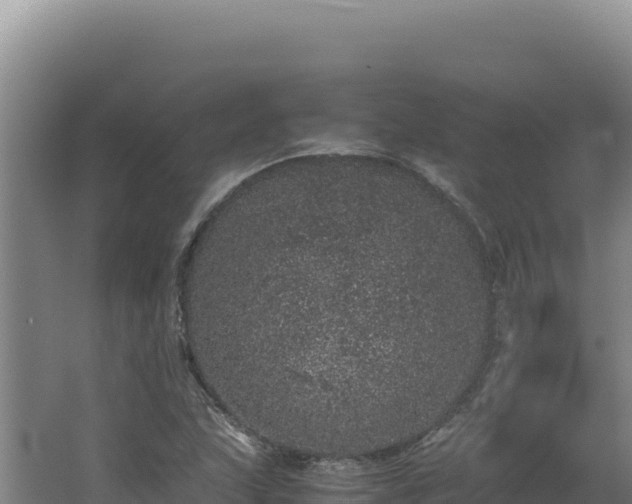 X0000062631215200512231004