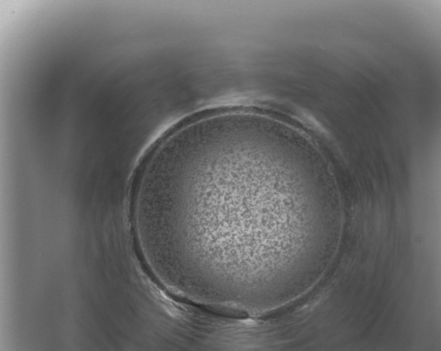 X0000062631216200512231004