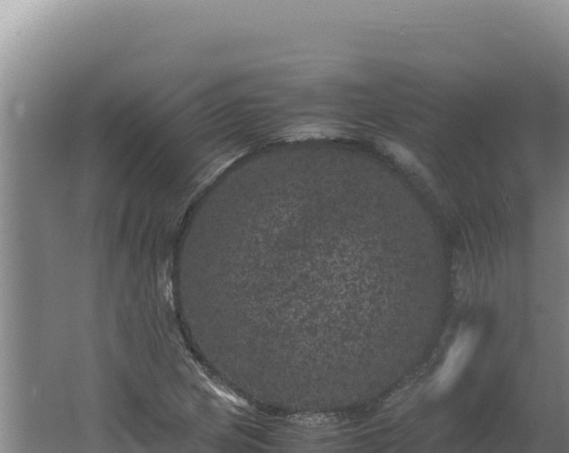 X0000062631217200512231004