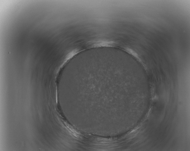 X0000062631219200512231004