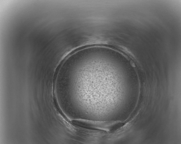 X0000062631220200512231004