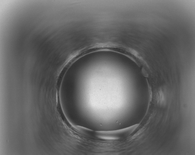 X0000062631221200512231004