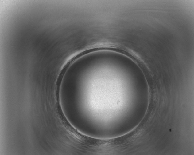 X0000062631222200512231004