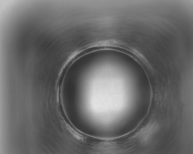 X0000062631224200512231004