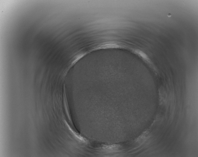 X0000062631225200512231004