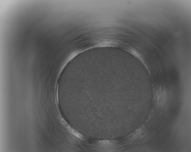 X0000062631227200512231004