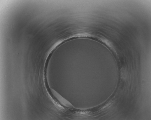 X0000062631229200512231004