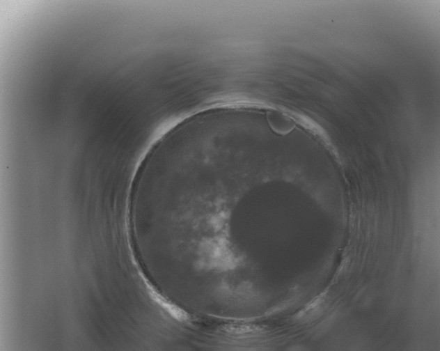 X0000062631231200512231004