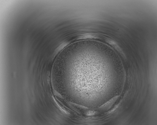 X0000062631233200512231004