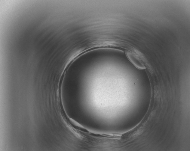 X0000062631234200512231004