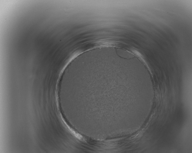 X0000062631235200512231004