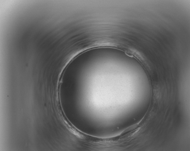 X0000062631236200512231004