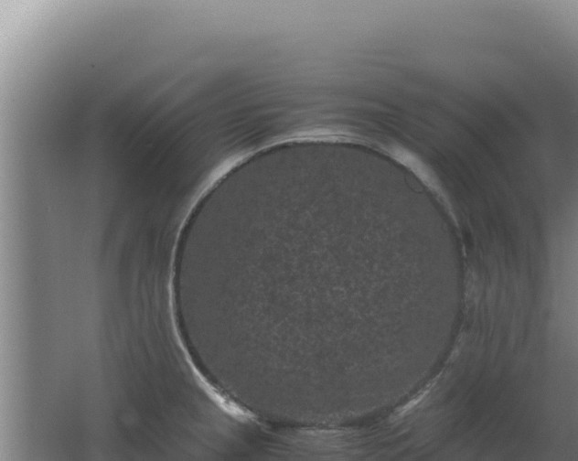 X0000062631237200512231004