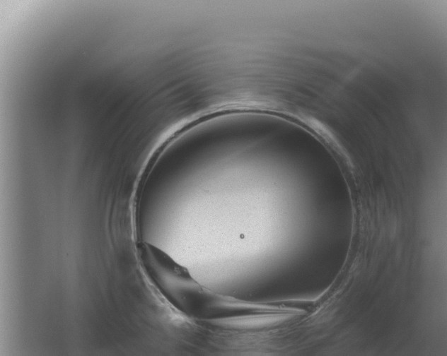 X0000062631238200512231004