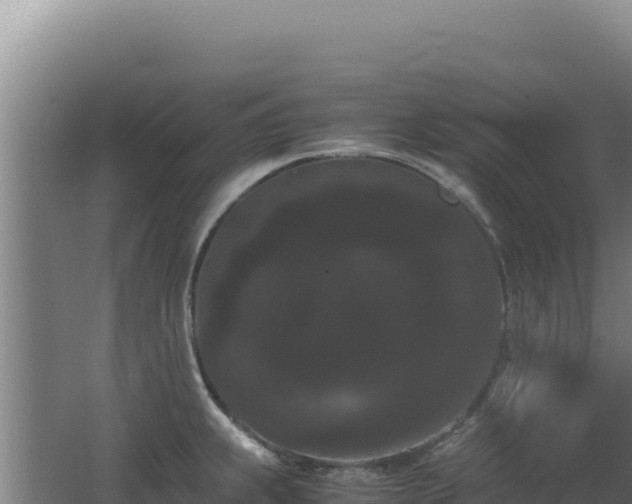 X0000062631239200512231004