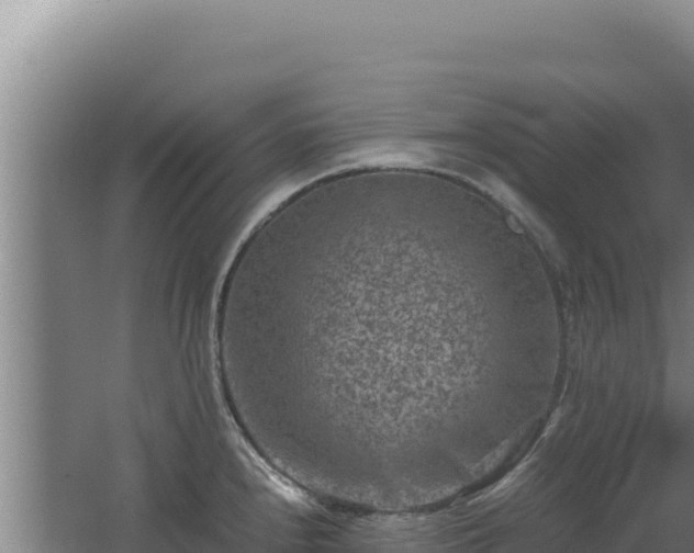 X0000062631240200512231004