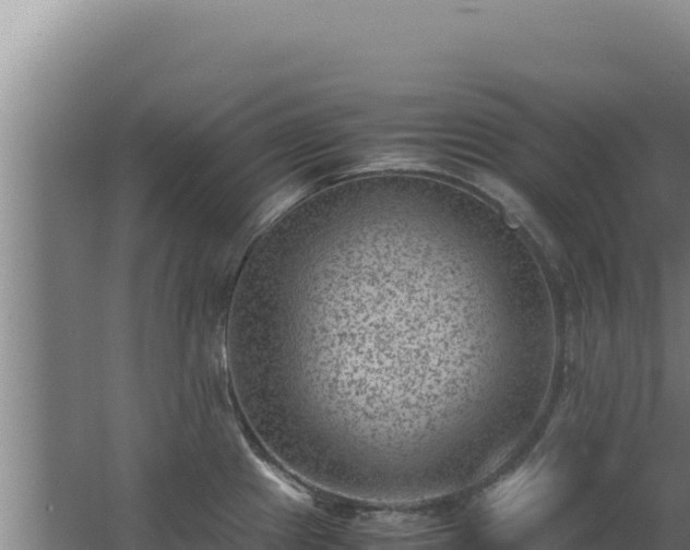 X0000062631241200512231004