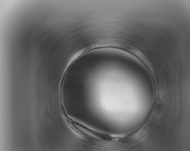 X0000062631242200512231004