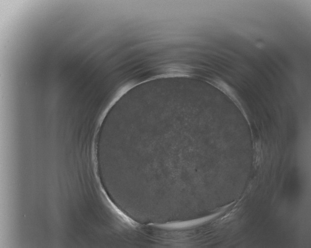 X0000062631243200512231004