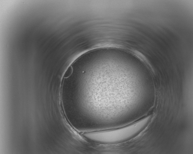 X0000062631244200512231005