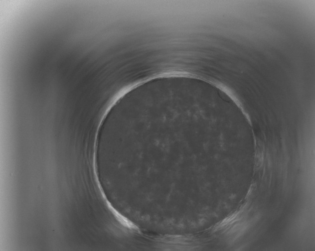 X0000062631245200512231005