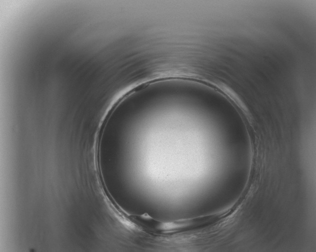 X0000062631246200512231005