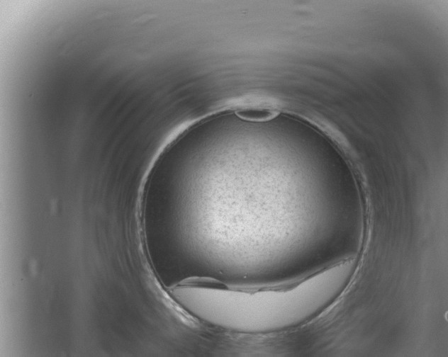 X0000062631248200512231005