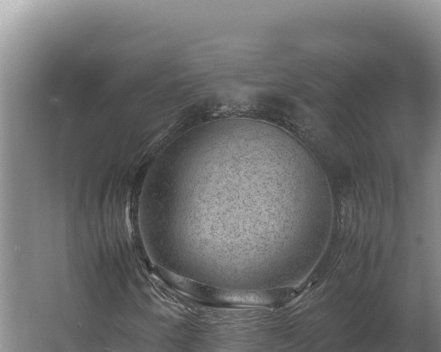 X0000062631250200512231004