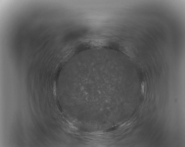 X0000062631251200512231004