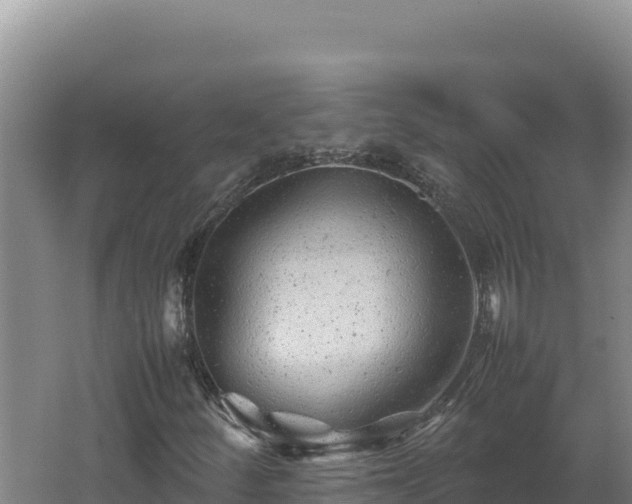 X0000062631252200512231004