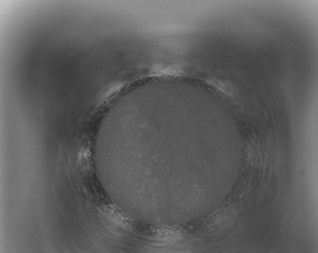 X0000062631254200512231004