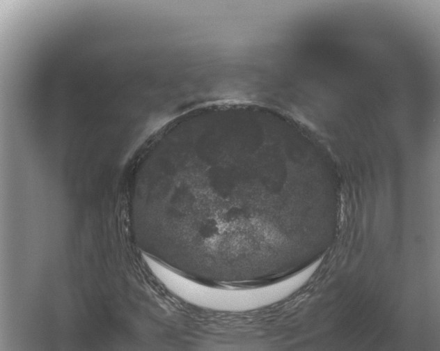 X0000062631255200512231004