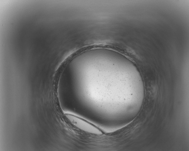 X0000062631256200512231004