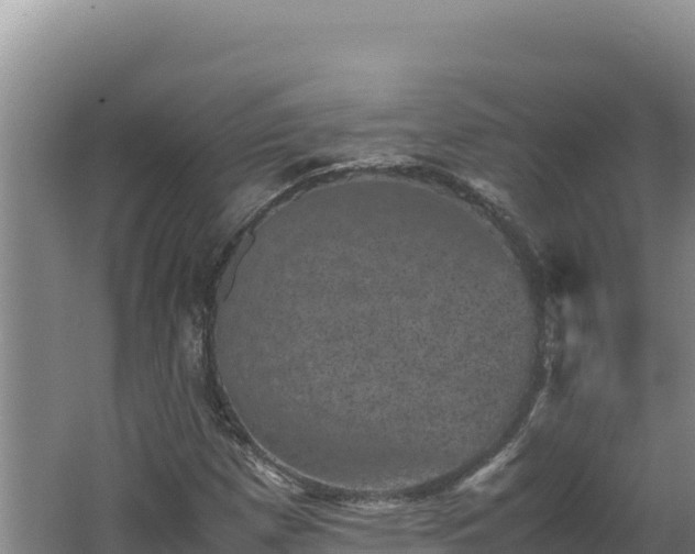 X0000062631257200512231004