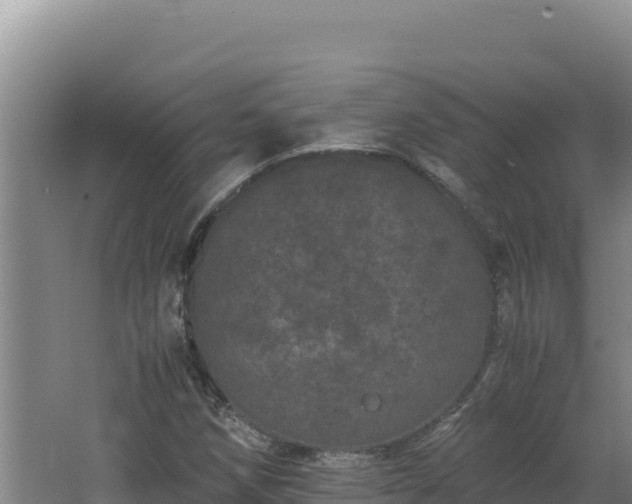 X0000062631258200512231004