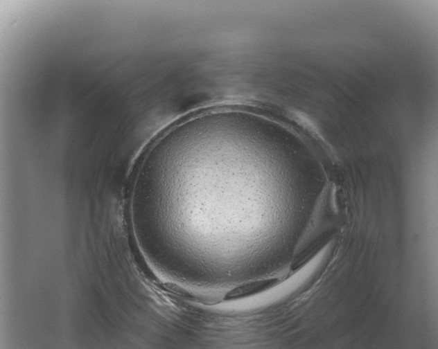 X0000062631260200512231004