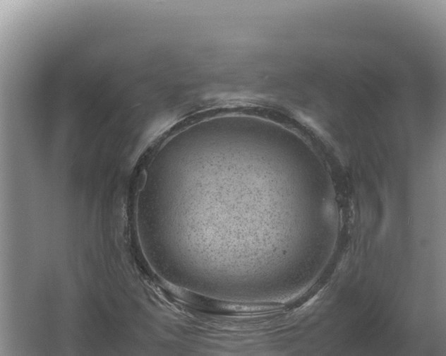 X0000062631261200512231004