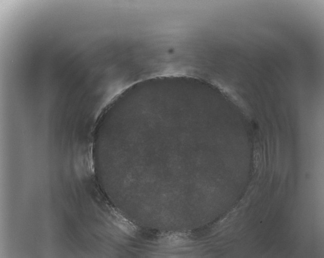 X0000062631262200512231004