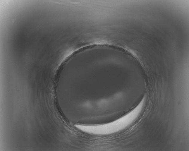 X0000062631263200512231004